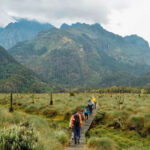 Rwenzori Trekking