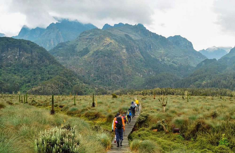 Rwenzori Trekking